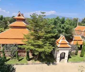 bird-view-of-rehab