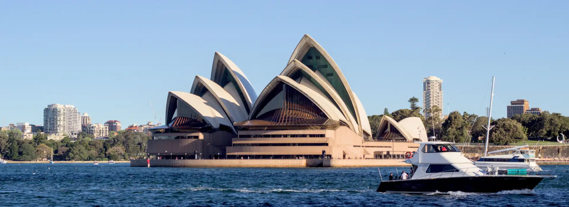 Rehab from Sydney: Your Opt...