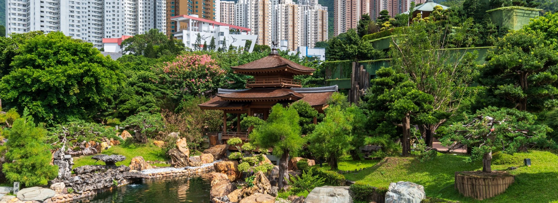 Rehab for Hong Kong Expats:...