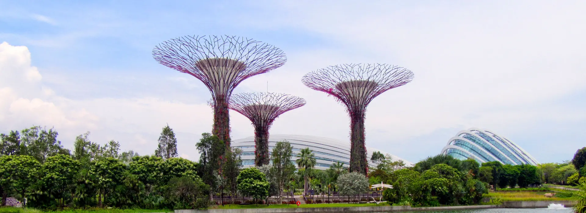 Rehab for Hong Kong Expats:...